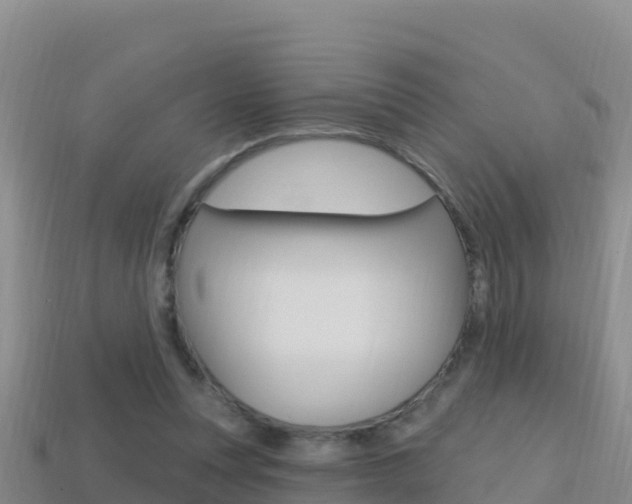 X0000114420351200910161059