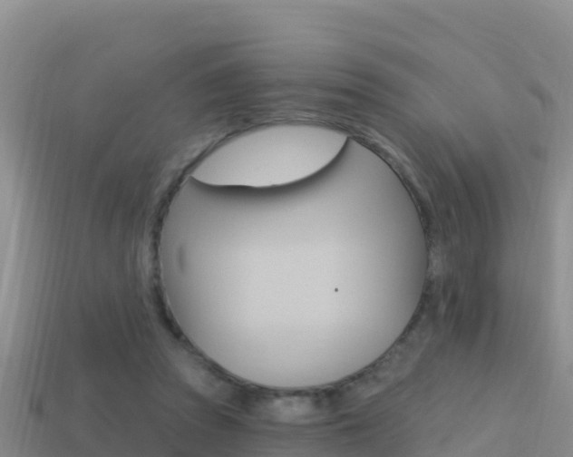 X0000114420353200910161059