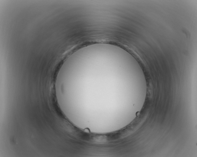 X0000114420355200910161059