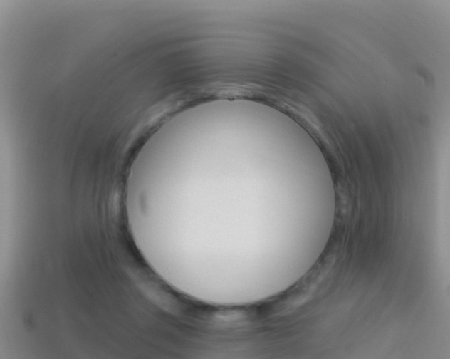 X0000114420357200910161059