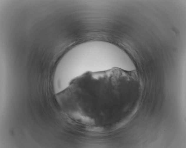 X0000114420359200910161059