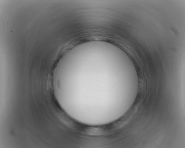 X0000114420361200910161059