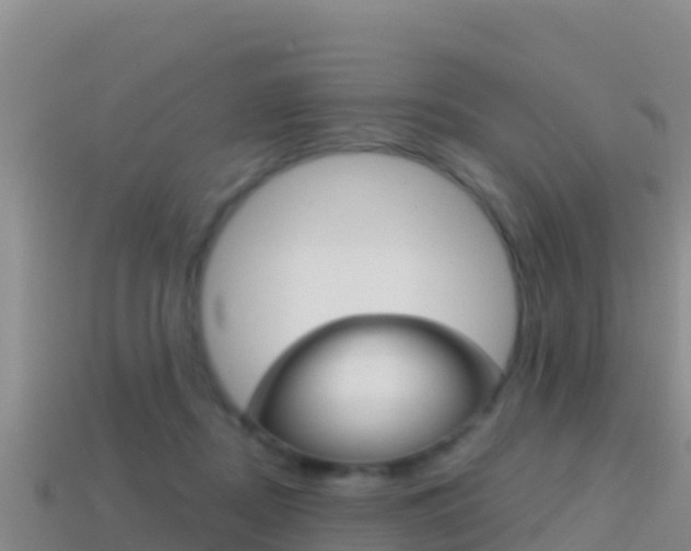 X0000114420362200910161059