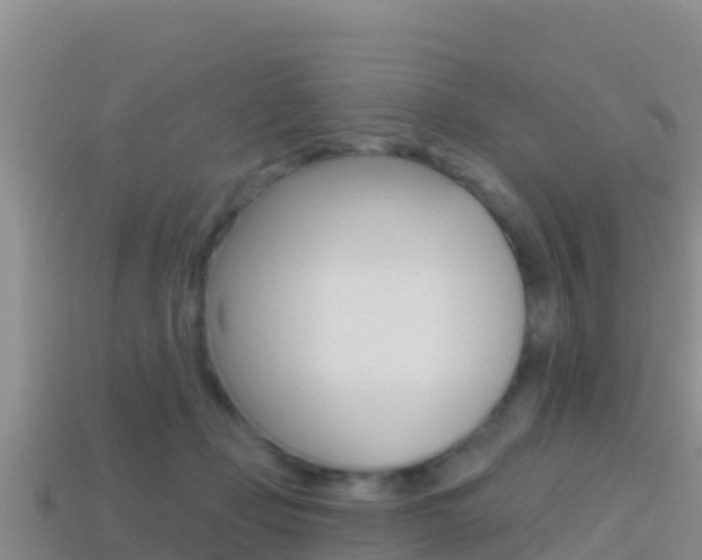 X0000114420365200910161059
