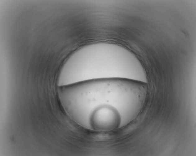 X0000114420366200910161059