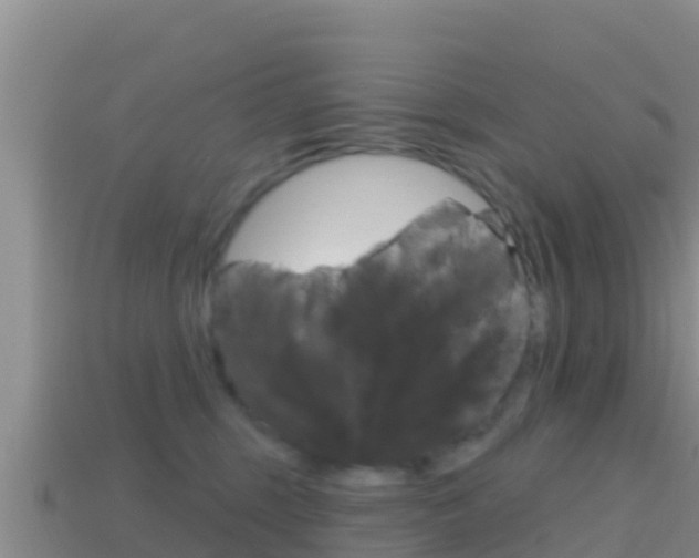 X0000114420375200910161059