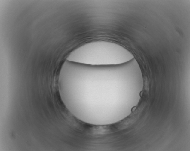 X0000114420378200910161059