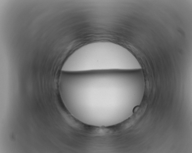 X0000114420379200910161059