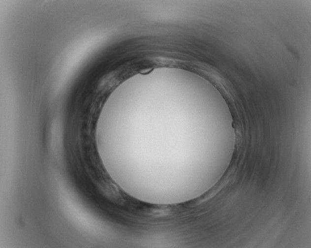X0000114420381200910161059
