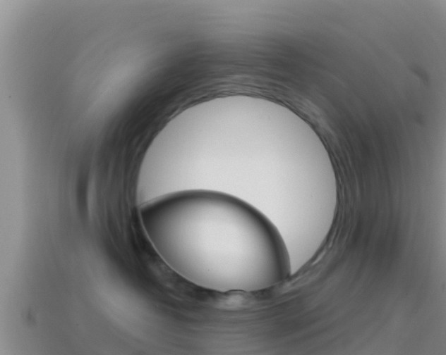 X0000114420382200910161059