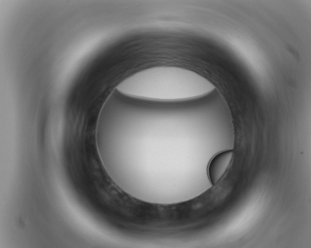 X0000114420383200910161059