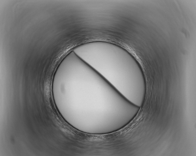 X0000114420386200910161059