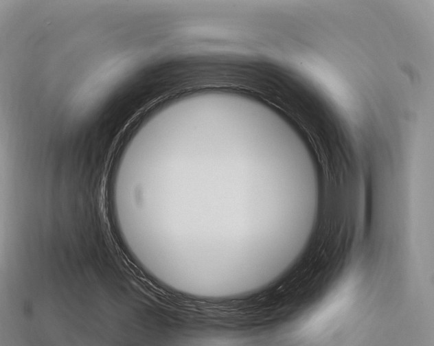 X0000114420387200910161059