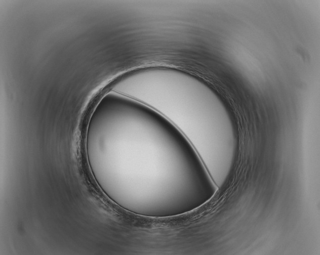 X0000114420388200910161059
