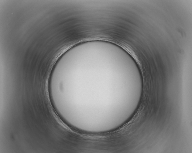 X0000114420389200910161059