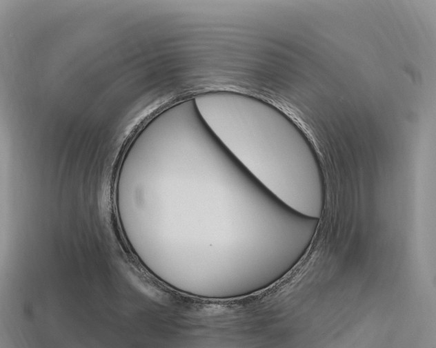 X0000114420390200910161059