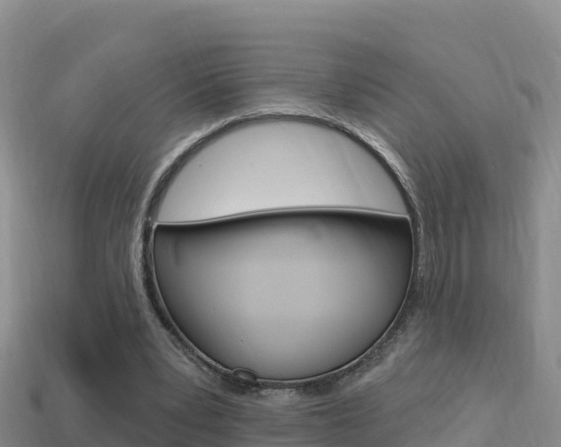 X0000114420391200910161059