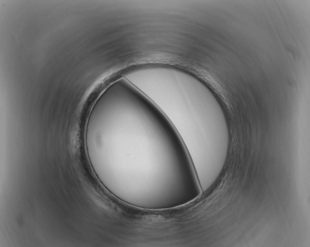 X0000114420392200910161059