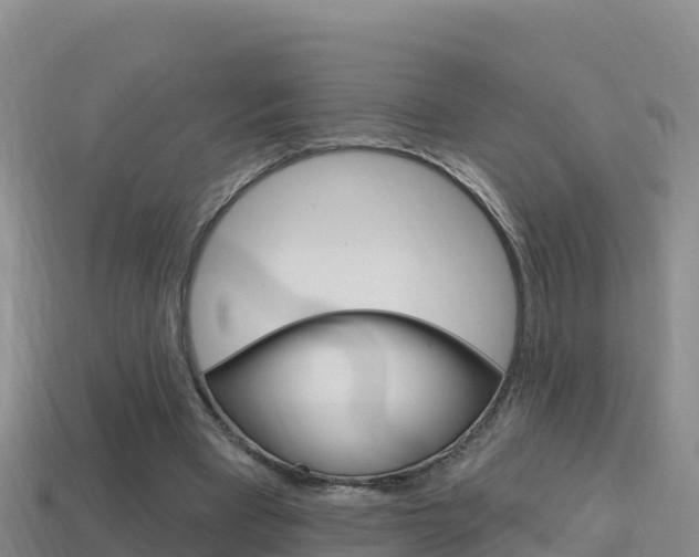 X0000114420393200910161059