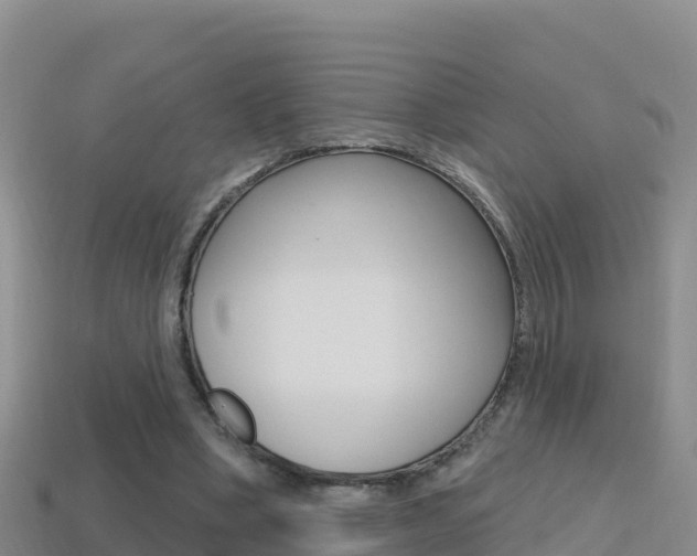 X0000114420394200910161059