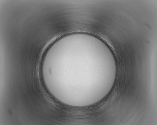 X0000114420395200910161059