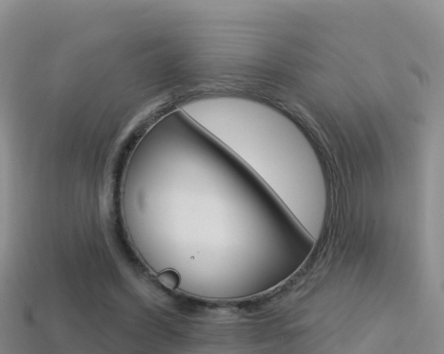 X0000114420396200910161059