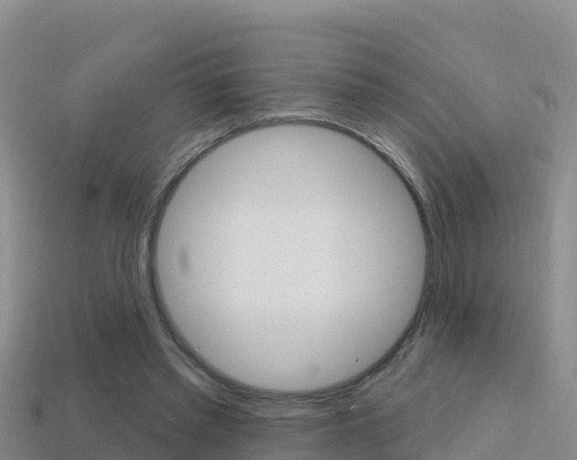 X0000114420397200910161059
