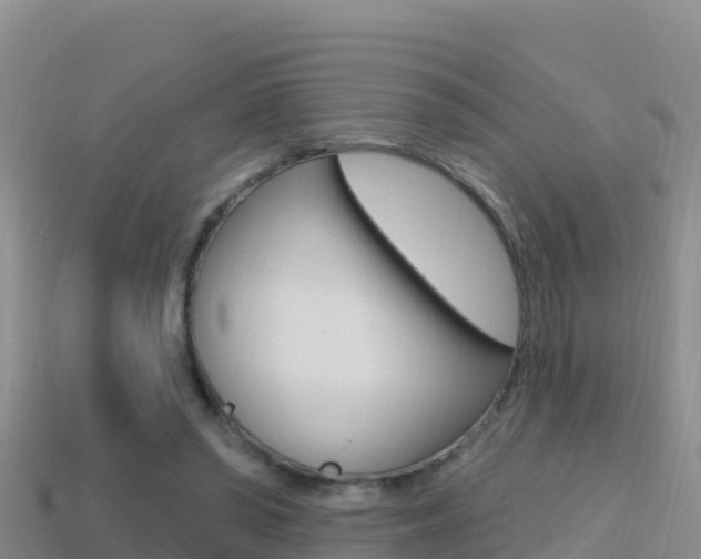 X0000114420398200910161059