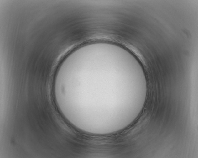 X0000114420399200910161059