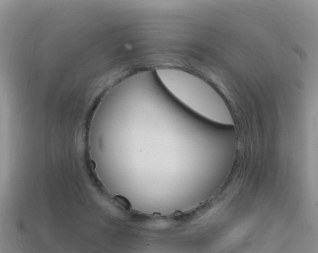 X0000114420402200910161058