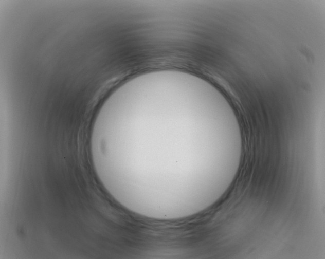 X0000114420403200910161058