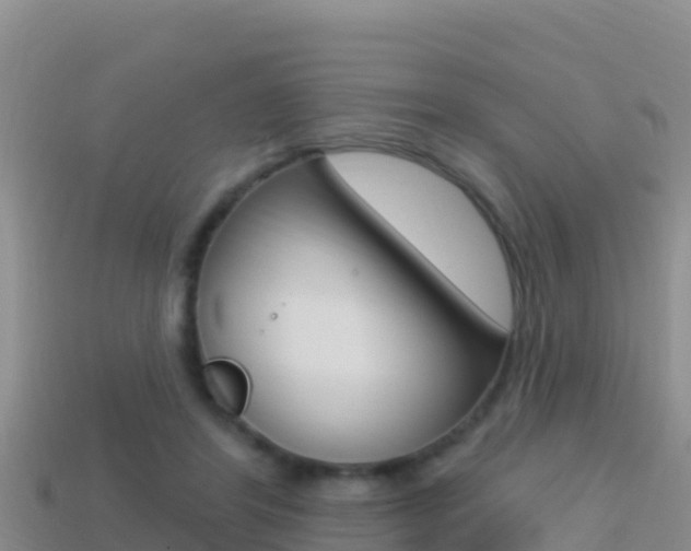 X0000114420404200910161058