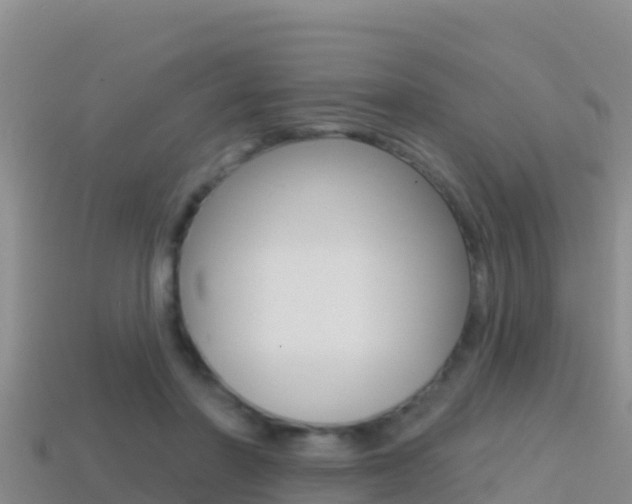 X0000114420406200910161058