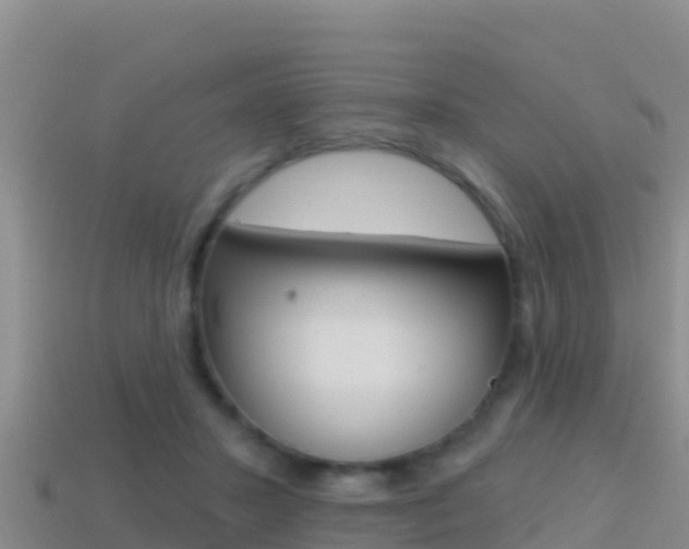 X0000114420407200910161058