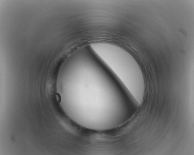 X0000114420408200910161058