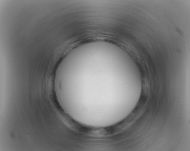 X0000114420410200910161058