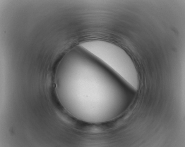 X0000114420412200910161058