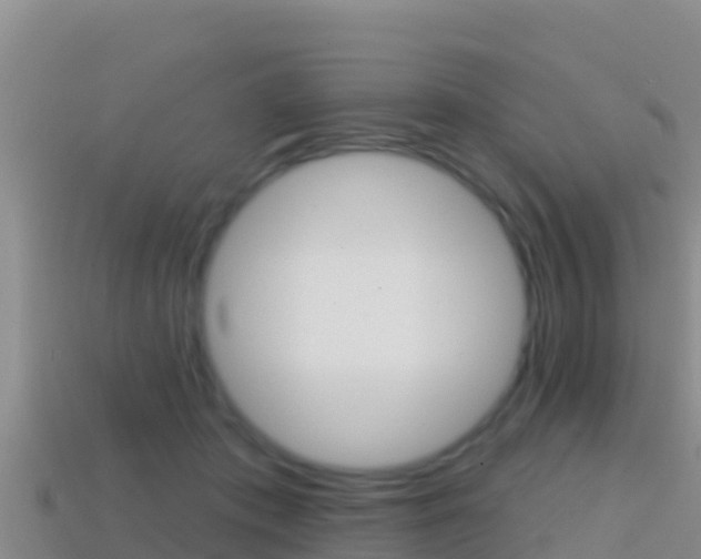 X0000114420413200910161058