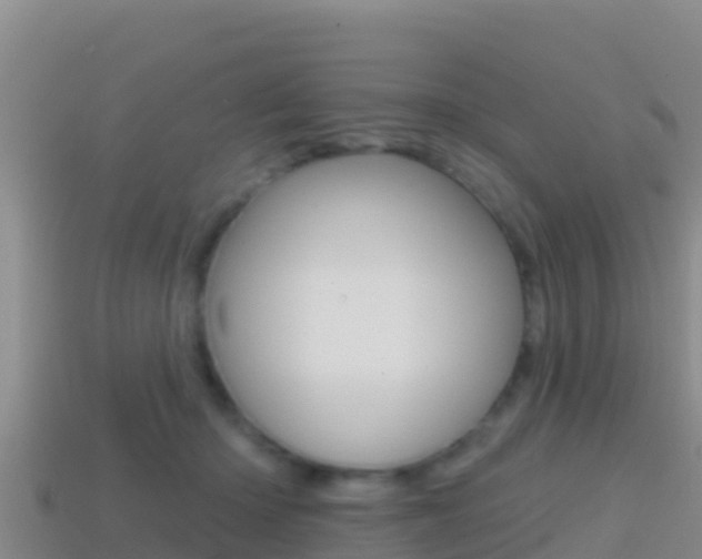 X0000114420414200910161058