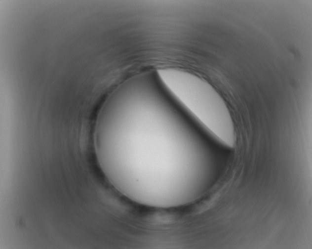 X0000114420416200910161058