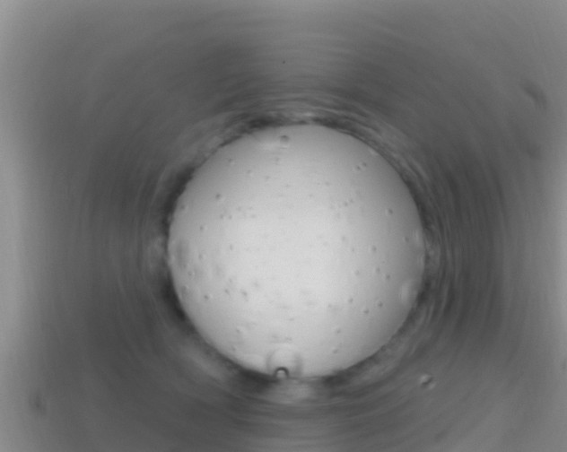 X0000114420418200910161058