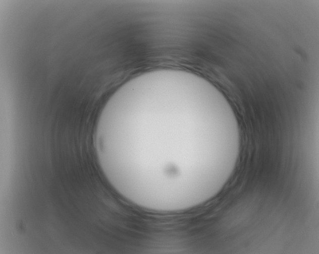 X0000114420419200910161058