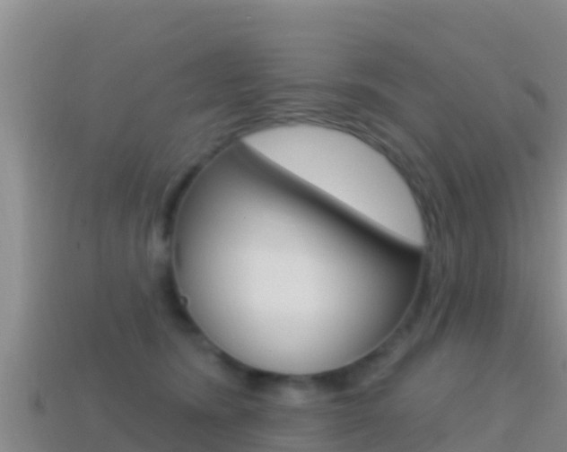 X0000114420420200910161058