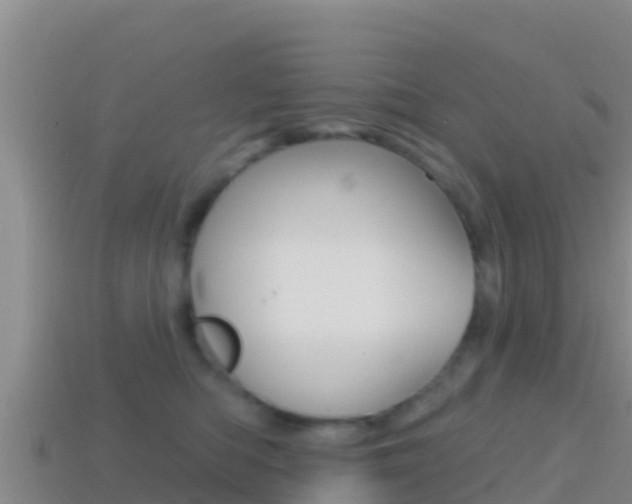 X0000114420422200910161058