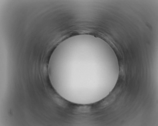 X0000114420426200910161058