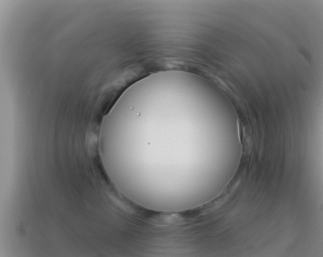 X0000114420427200910161058