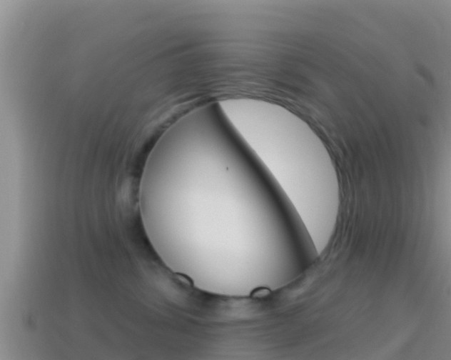 X0000114420428200910161058