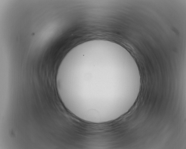 X0000114420429200910161058