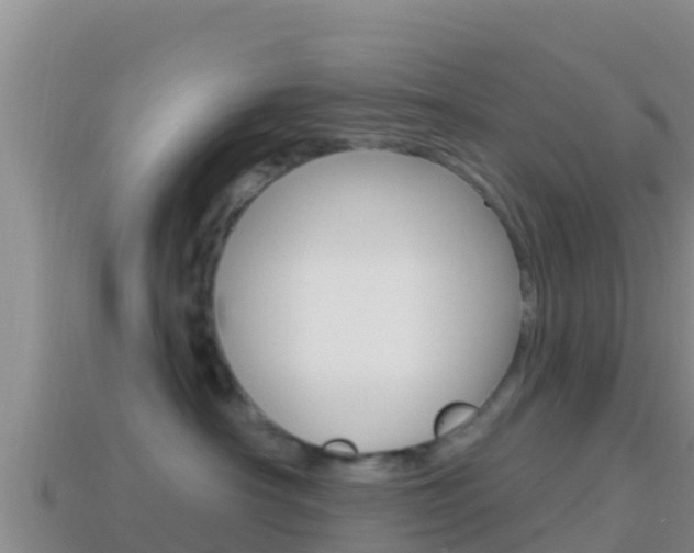 X0000114420430200910161058