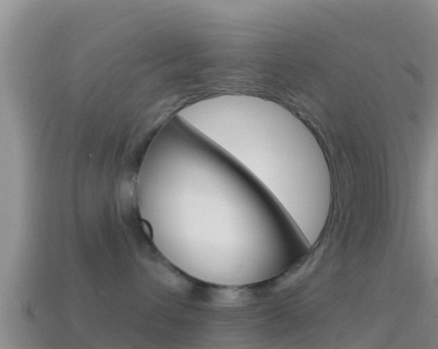 X0000114420432200910161058